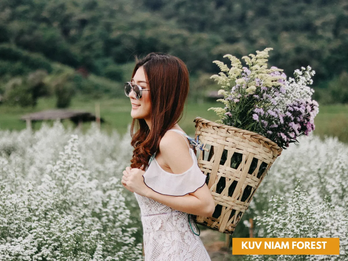 กู๊เนียร์ ฟอร์เร็ชท เชียงใหม่