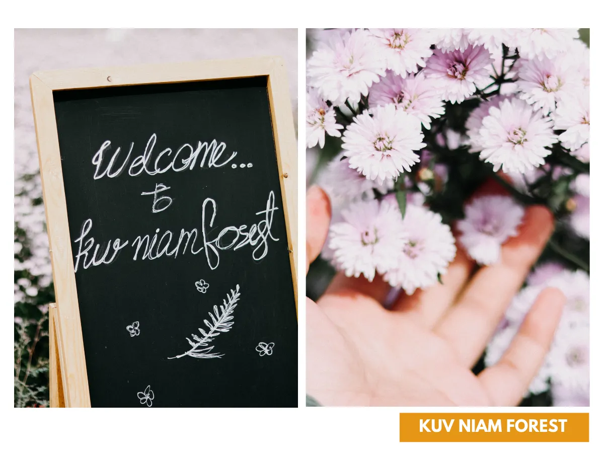 kuv niam forest เชียงใหม่