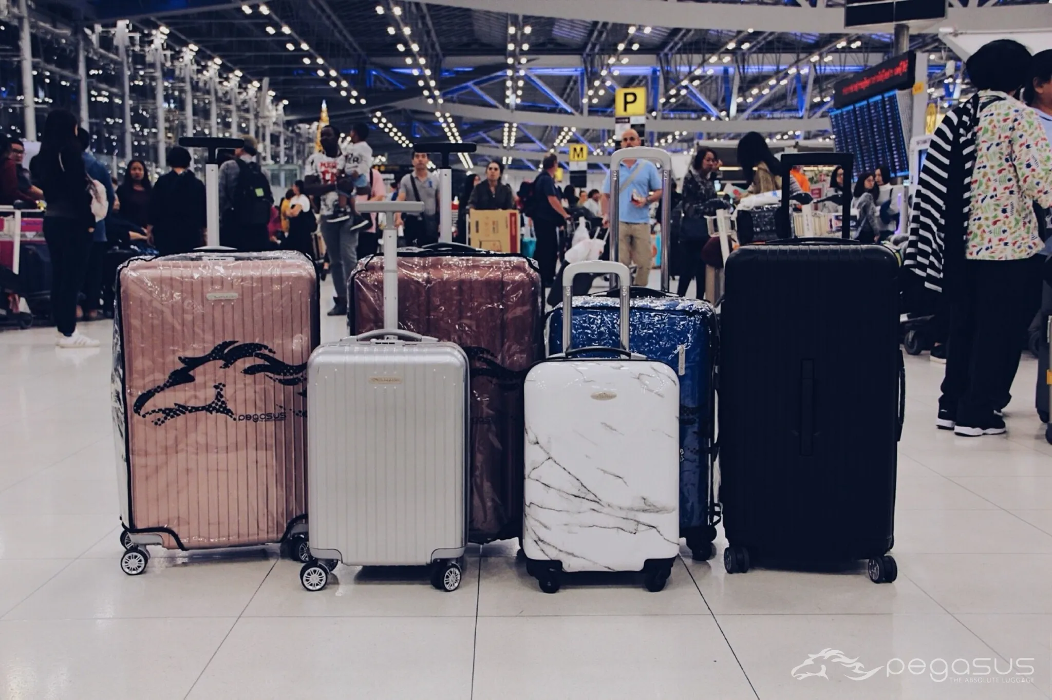 รูปกระเป๋าเดินทาง Pegasus Luggae 6 ใบ 