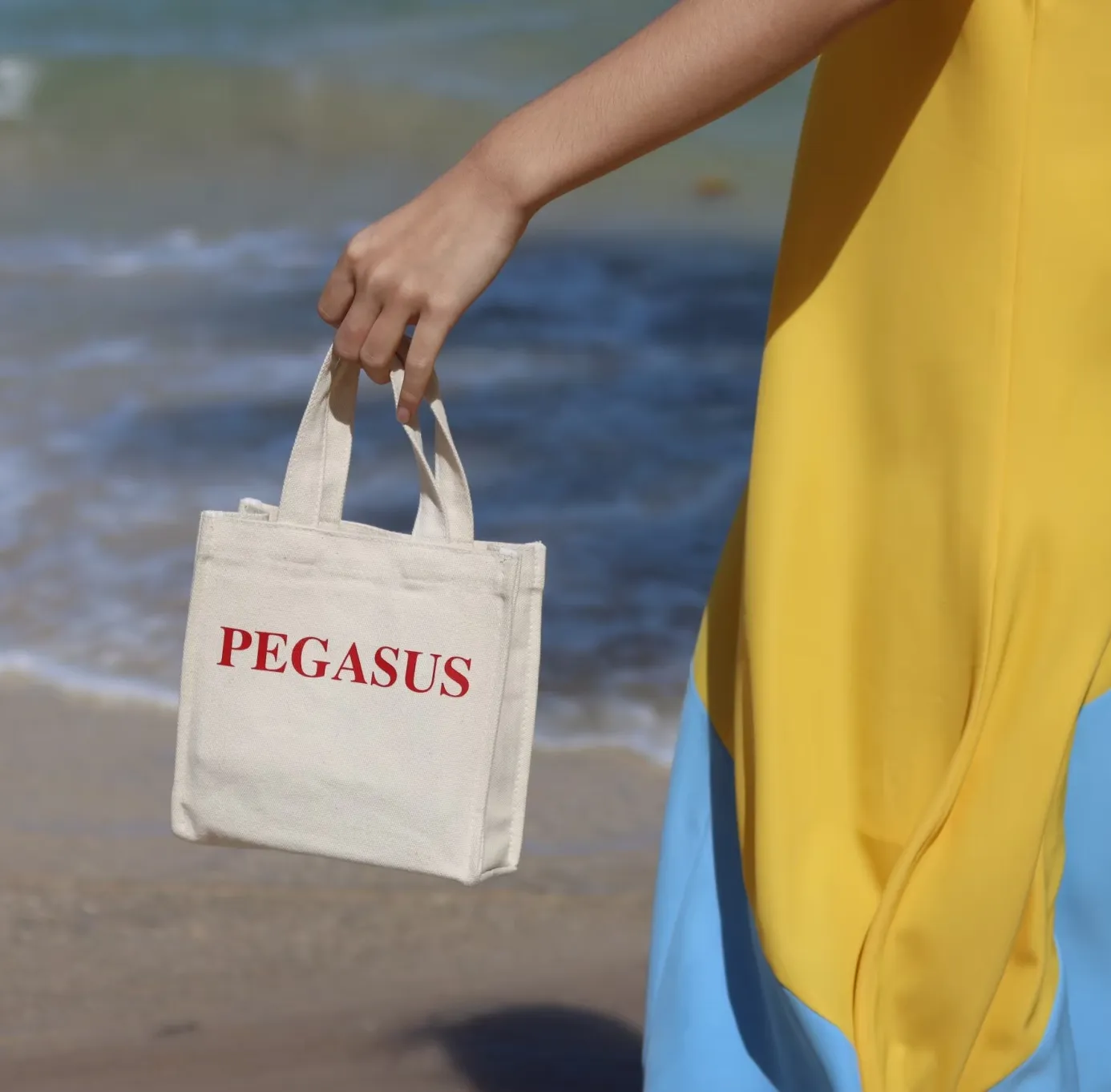 Shopping Bag ใบเล็ก หูหิ้วสีขาว B05