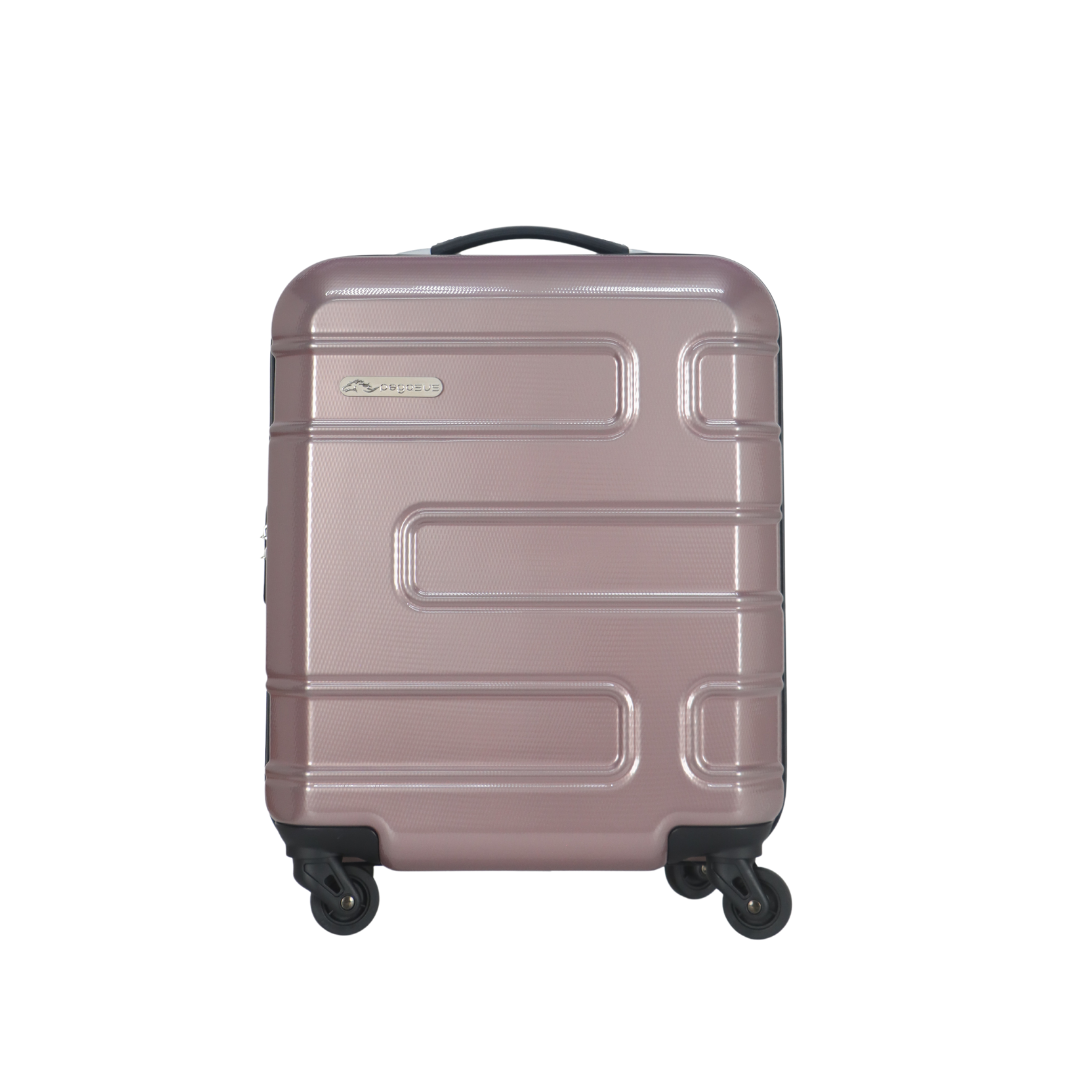 newmorgan Frozenberry -carryon-luggage-pegasusluggage