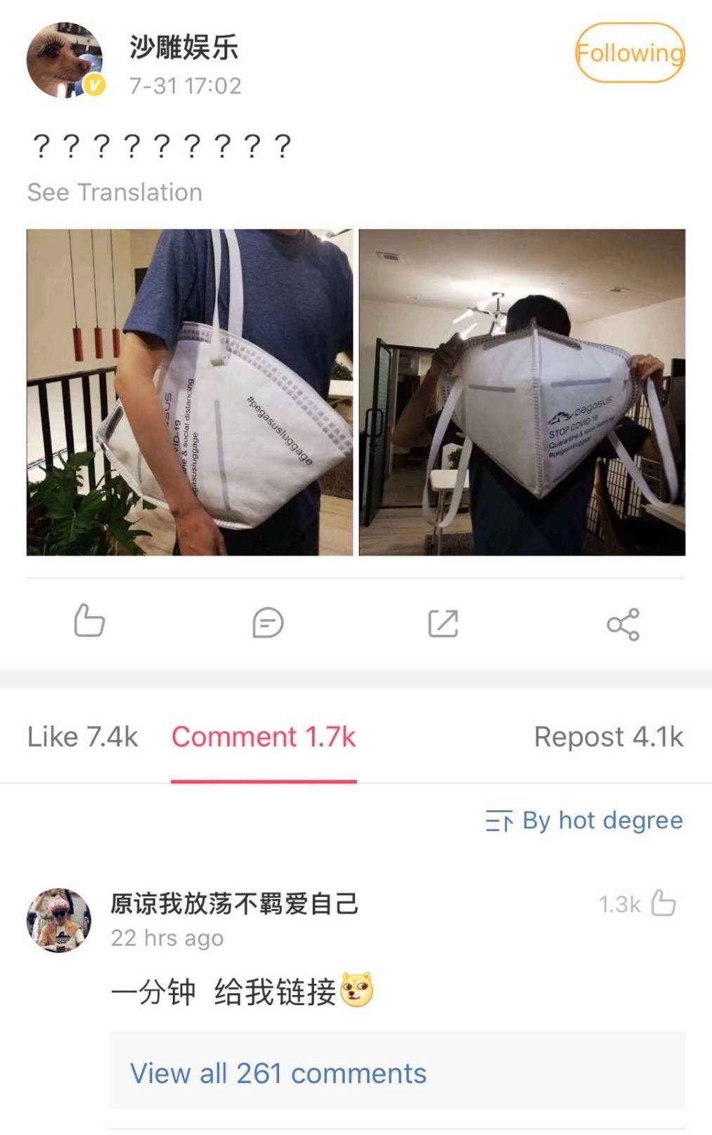 รีวิวกระเป๋าแมสยักษ์ pegasus quarantine tote 